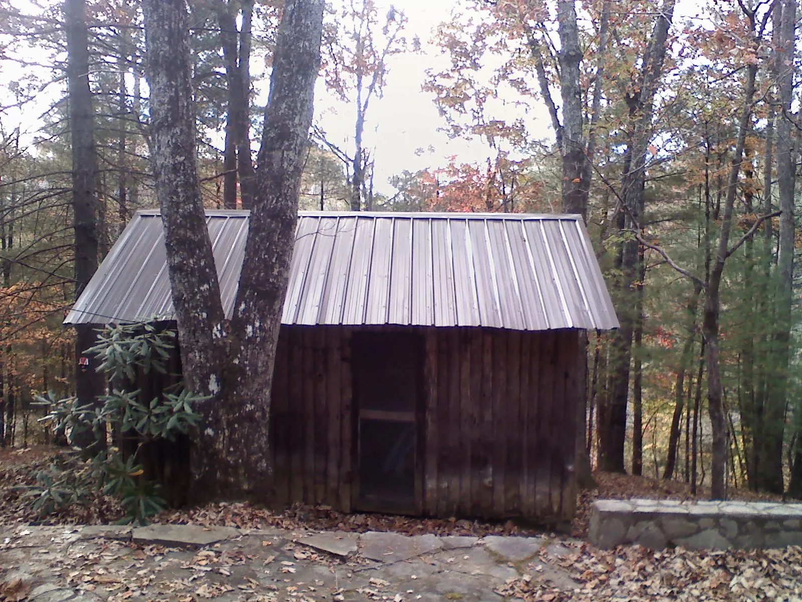 New metal gable roof on a small log shed among the trees in Sprague